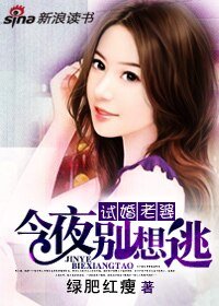 《试婚老婆:今夜别想逃》