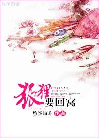 《狐狸要回窝》