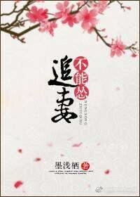 《追妻不能怂》