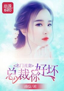 《名门丑妻:总裁你好坏》