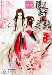 《娇妃难猜:腹黑王爷追妻路》