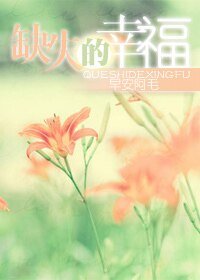 《缺失的幸福》
