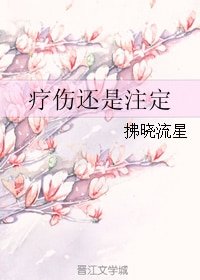 《疗伤还是注定》