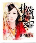 神偷皇妃
