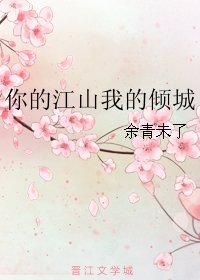 你的江山我的倾城