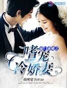 《豪门诱婚之嗜宠冷娇妻》