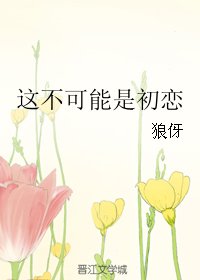 《这不可能是初恋》