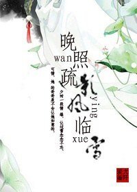 《晚照疏影风临雪》
