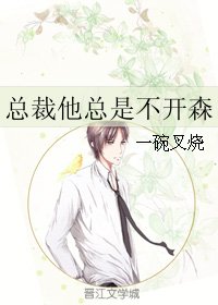 《总裁他总是不开森》