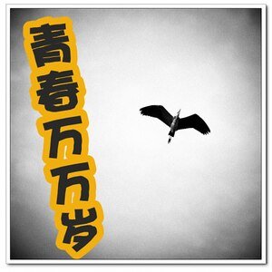 《青春万万岁》