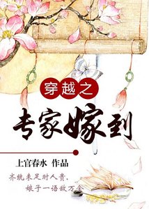《穿越之专家嫁到/娘子敌万金》