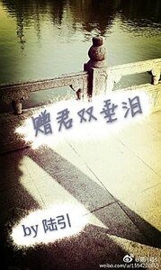 《赠君双垂泪》