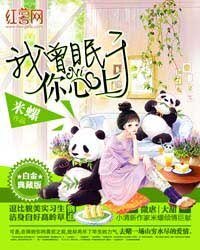 《我曾眠于你心上》