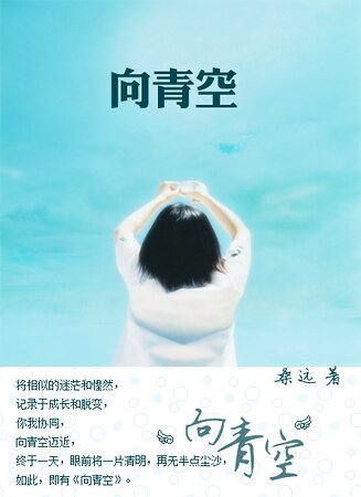 《向青空》
