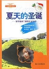 夏天的圣诞：留学新西兰的男生女生们