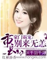 市长，别来无恙(高干宠文)