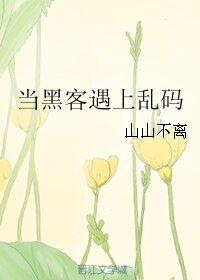 《当黑客遇上乱码》