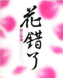花错了（出书版）