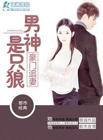 《豪门追妻之男神是只狼》