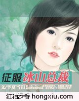 《征服冰山总裁》