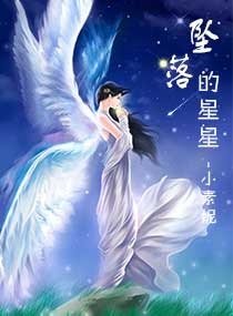 《坠落的星星》