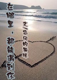 《在哪里,都能遇到你》