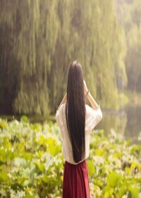 《红颜若莲》