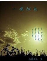 《一夜阳光》