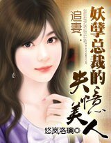 《追妻:妖孽总裁的失忆美人》