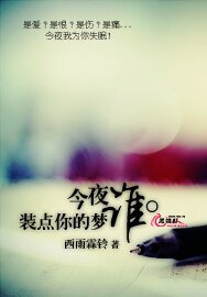 今夜谁装点你的梦