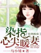 《情到极致,染指心尖暖妻》