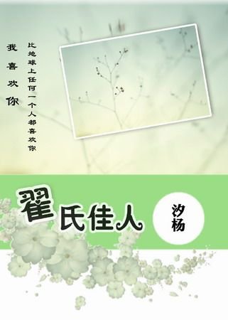 《翟氏佳人》