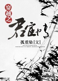 《穿越之君宦情》