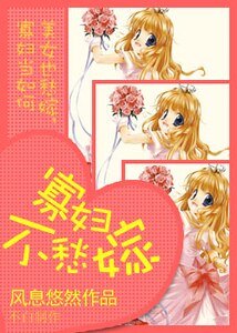 （网王同人）寡妇不愁嫁