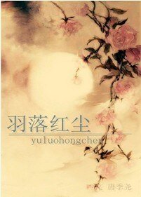 《羽落红尘》