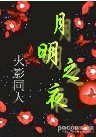 《(火影同人)月明之夜》
