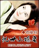 《乱世小娇妻》
