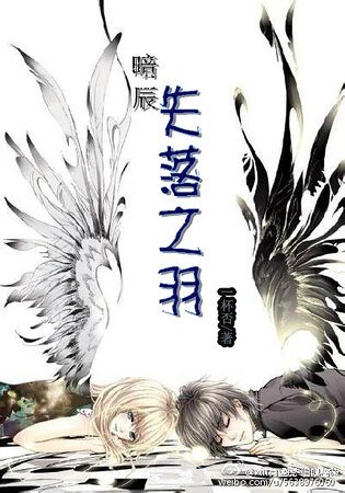 《失落之羽》