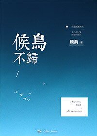 候鸟不归