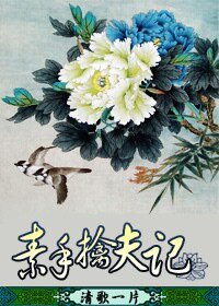 《素手擒夫/宋朝之寡妇好嫁》