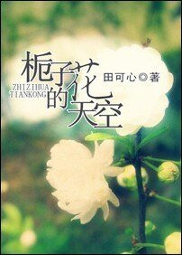 《栀子花的天空》