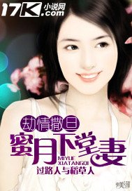 《劫情撒旦:蜜月下堂妻》