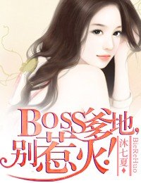 《BOSS爹地,别惹火》