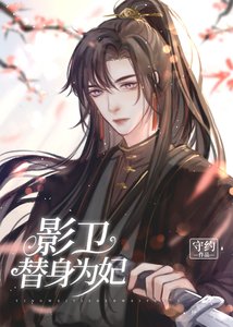 《替嫁后影卫小夫郎揣崽了》