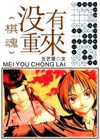 《(BL/棋魂同人)没有重来》