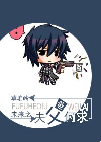 《未来之夫父何求》