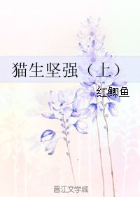 猫生坚强（上）