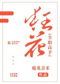 《(BG/全职高手同人)狂花》