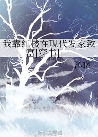 （红楼同人）我靠红楼在现代发家致富[穿书]