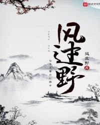 《风过野》